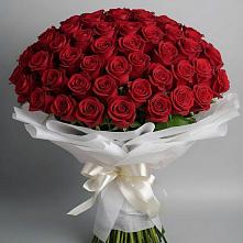 Букет 101 Красная роза Блэк Мэджик в Тевризе