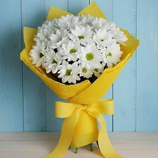 Букет цветов из:  Хризантемы в Тевризе