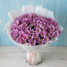 Букет цветов из:  Хризантемы в Тевризе