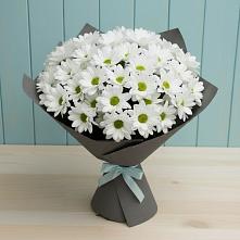 Букет цветов из:  Хризантемы в Тевризе
