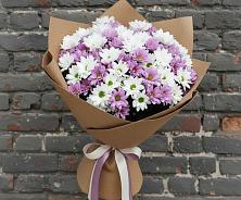 Букет цветов из:  Хризантемы в Тевризе