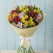 Букет цветов из:  Альстромерии #REPLACE_PRED# Тевризе