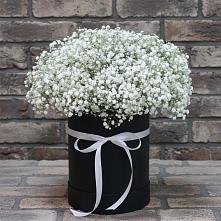 Цветочная композиция из Гипсофила в шляпной коробке в Тевризе