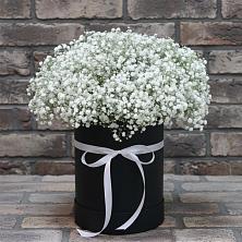 Цветочная композиция из Гипсофила в шляпной коробке в Тевризе