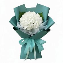 Букет цветов из:  Гортензия в Тевризе